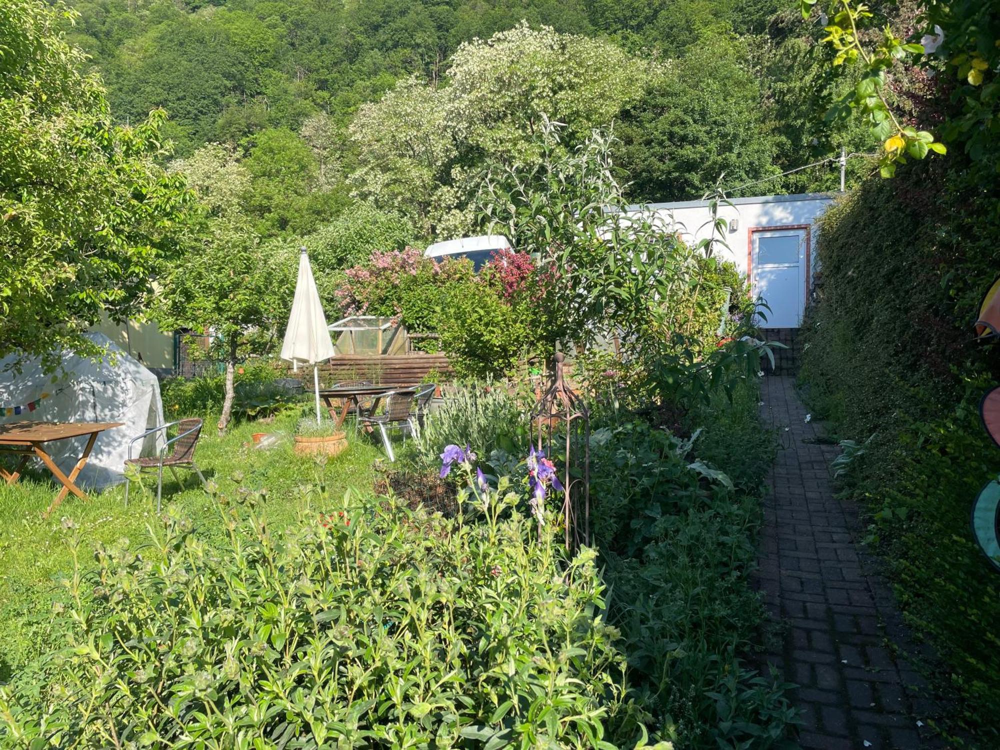 Blick Ins Gruene, Nah Am Zentrum Trier Exterior photo